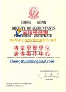 香港CPA執業會計師證書範本|香港會計師公會舉辦大灣區講座第二場